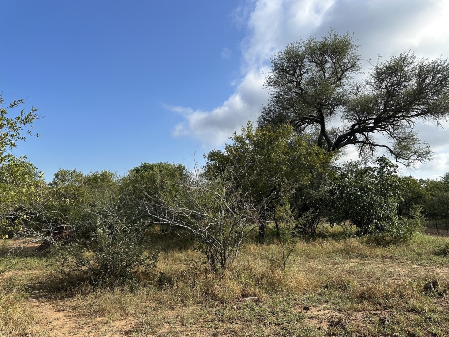 0 Bedroom Property for Sale in Hoedspruit Wildlife Estate Limpopo