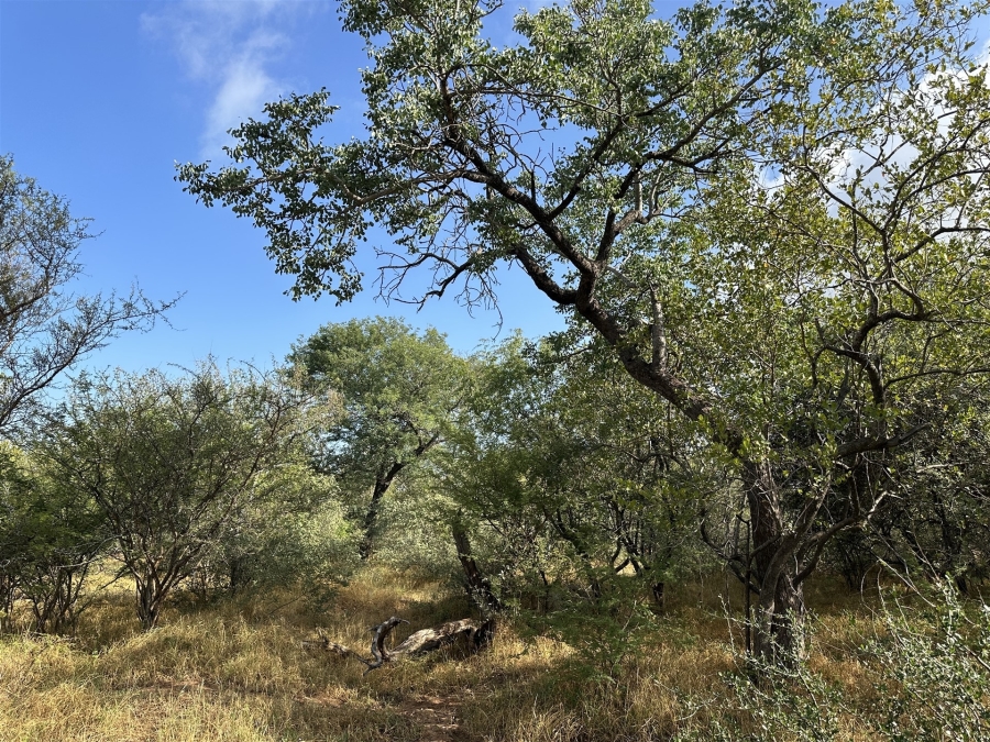 0 Bedroom Property for Sale in Hoedspruit Wildlife Estate Limpopo