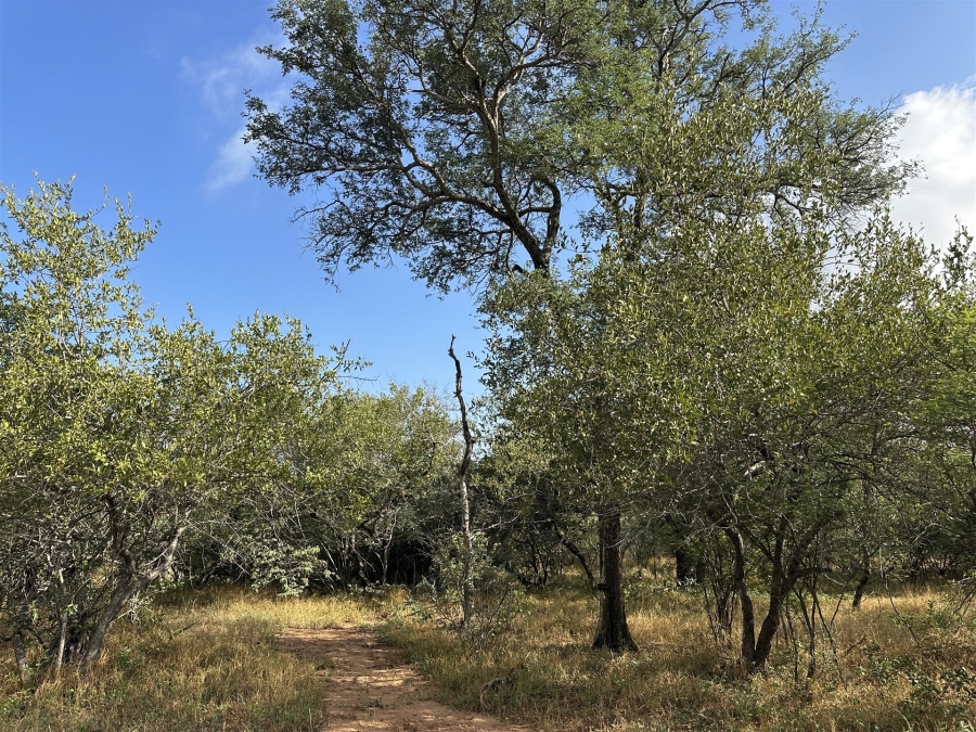 0 Bedroom Property for Sale in Hoedspruit Wildlife Estate Limpopo