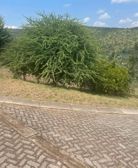 0 Bedroom Property for Sale in Bela Bela Limpopo