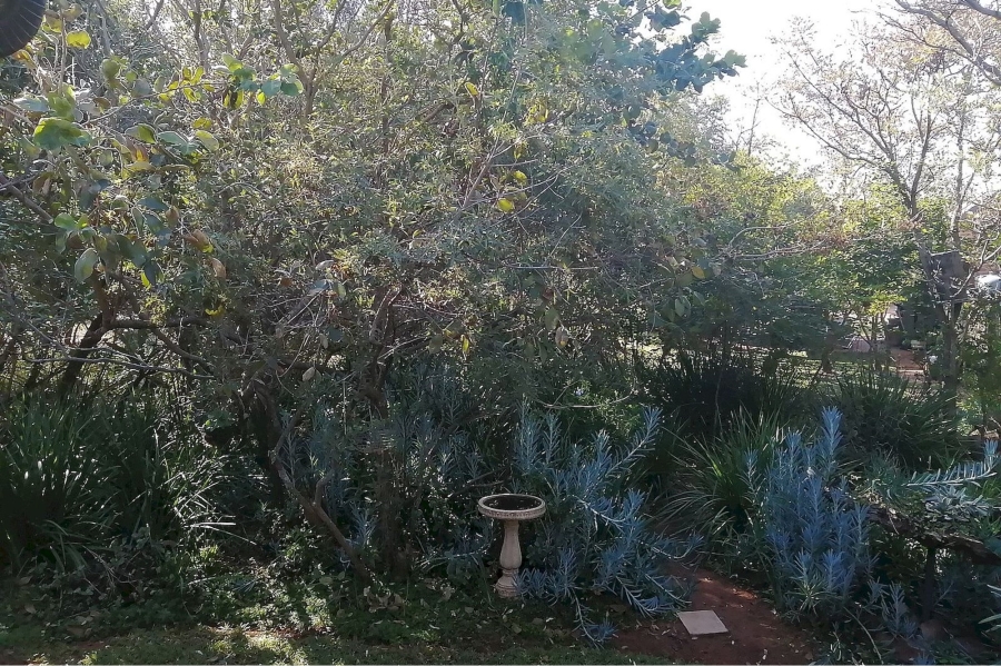 3 Bedroom Property for Sale in Negester Klein Kariba Limpopo