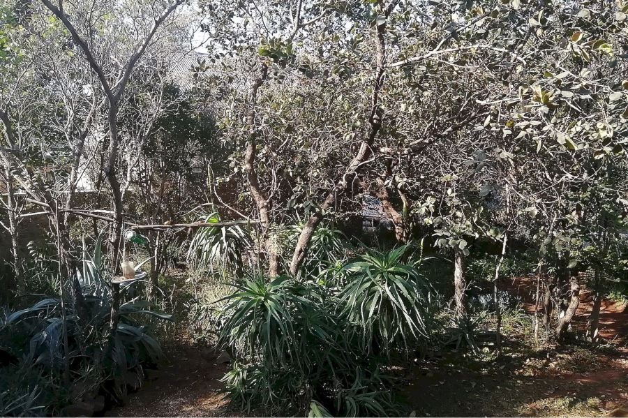 3 Bedroom Property for Sale in Negester Klein Kariba Limpopo