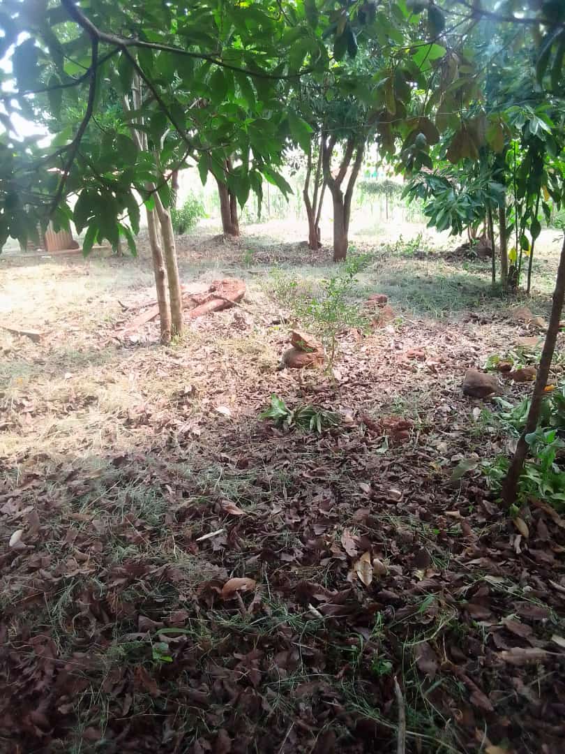 2 Bedroom Property for Sale in Thohoyandou Limpopo