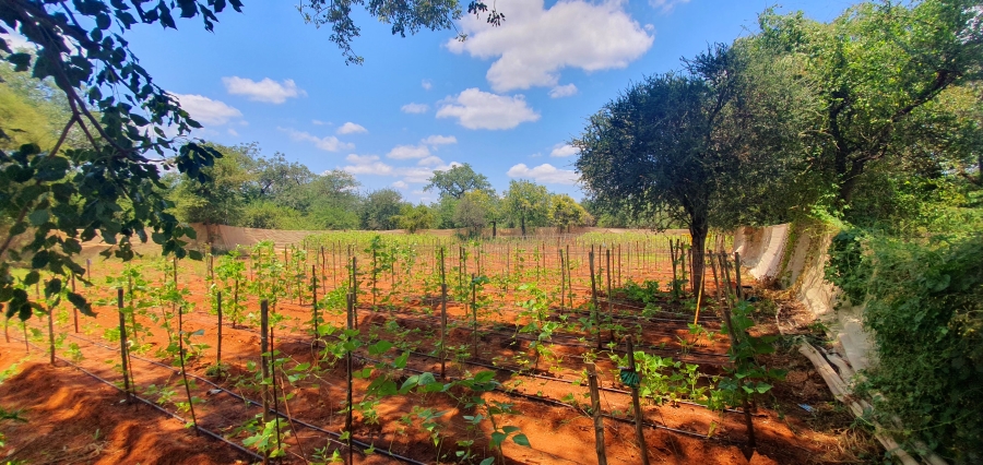 2 Bedroom Property for Sale in Tolwe Limpopo