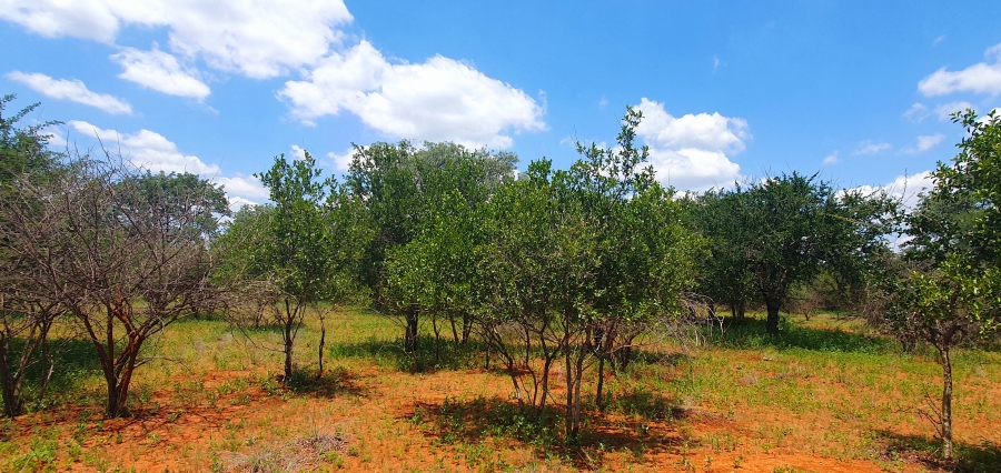 2 Bedroom Property for Sale in Tolwe Limpopo