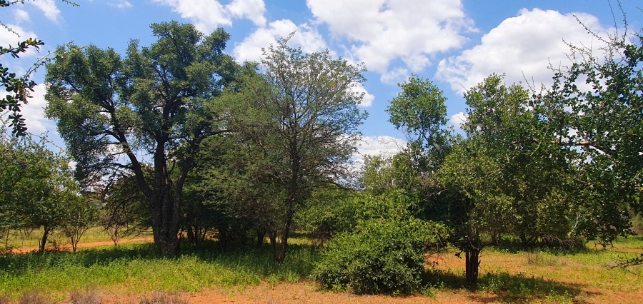 2 Bedroom Property for Sale in Tolwe Limpopo