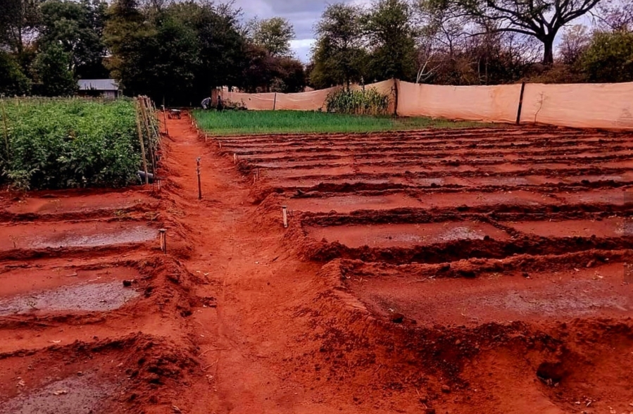 2 Bedroom Property for Sale in Tolwe Limpopo