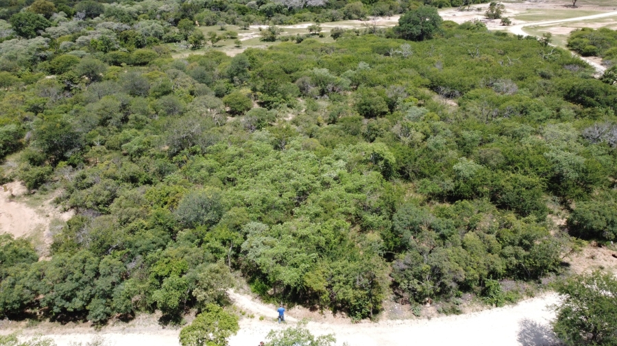 0 Bedroom Property for Sale in Moditlo Wildlife Estate Limpopo