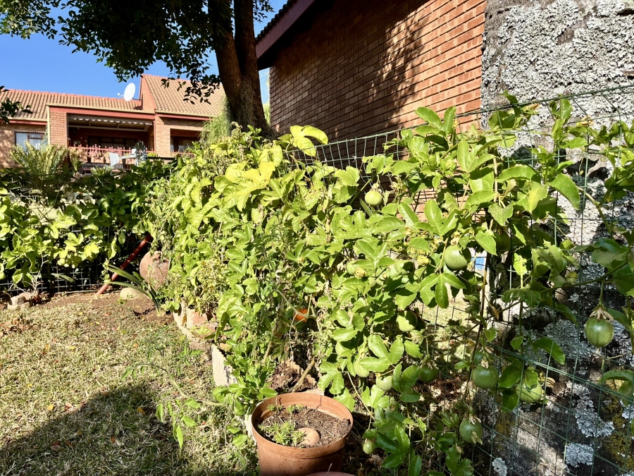 2 Bedroom Property for Sale in Bela Bela Limpopo
