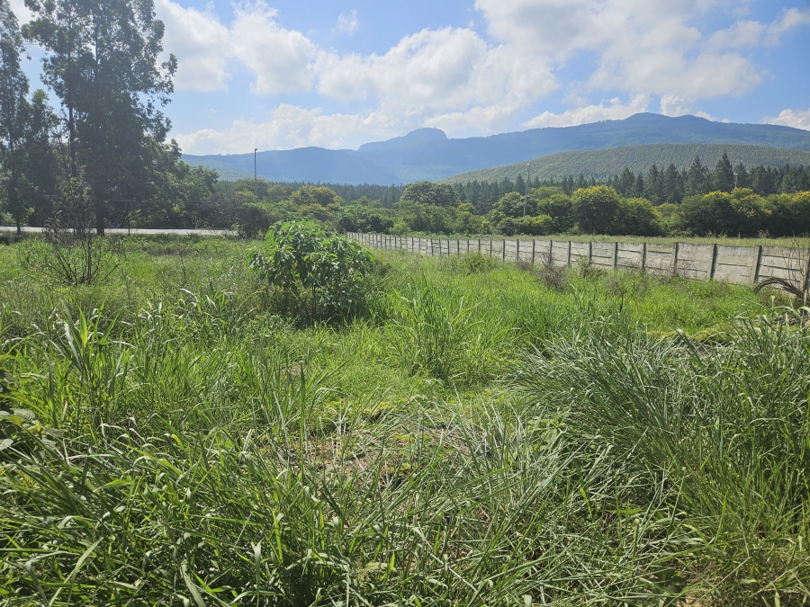 0 Bedroom Property for Sale in Louis Trichardt Limpopo