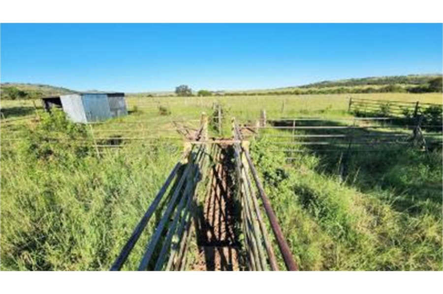 0 Bedroom Property for Sale in Modimolle Rural Limpopo