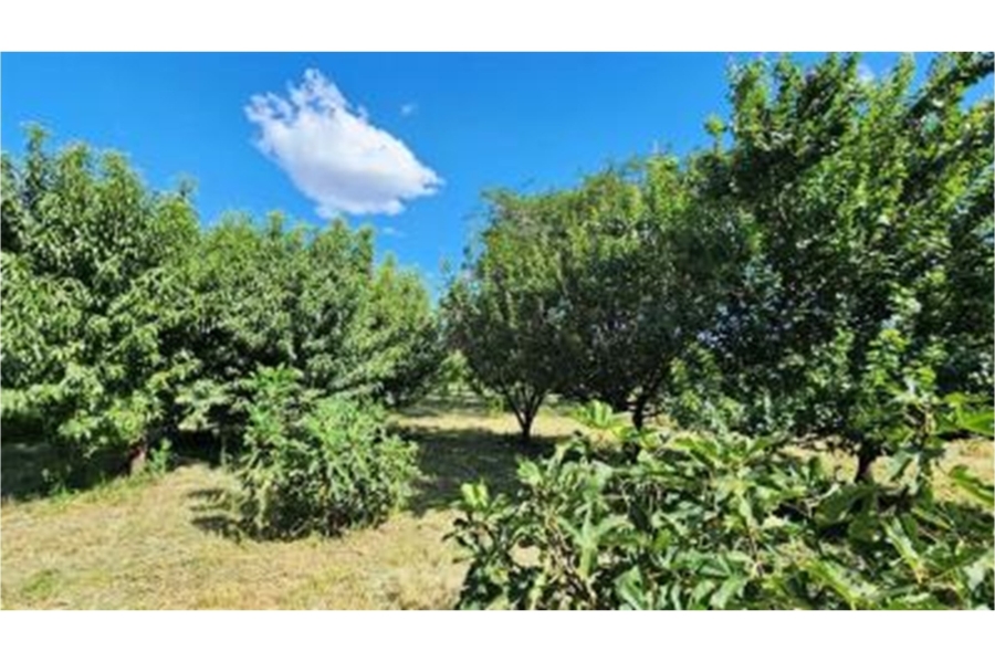 0 Bedroom Property for Sale in Modimolle Rural Limpopo