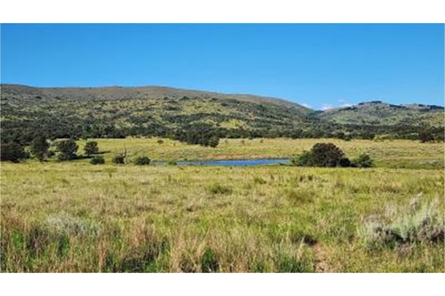 0 Bedroom Property for Sale in Modimolle Rural Limpopo