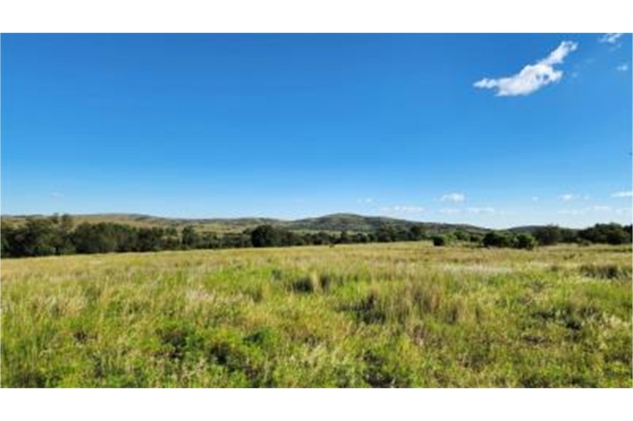 0 Bedroom Property for Sale in Modimolle Rural Limpopo