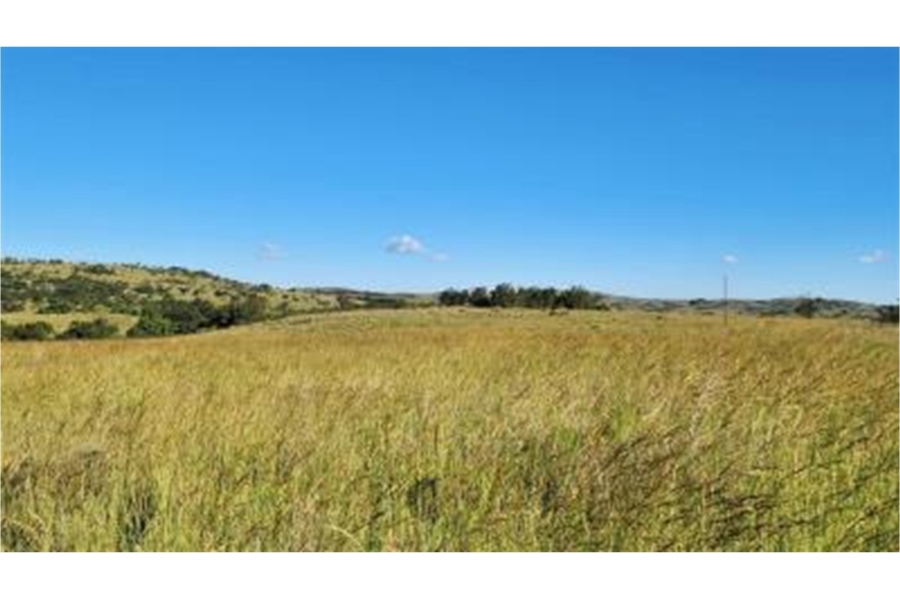 0 Bedroom Property for Sale in Modimolle Rural Limpopo