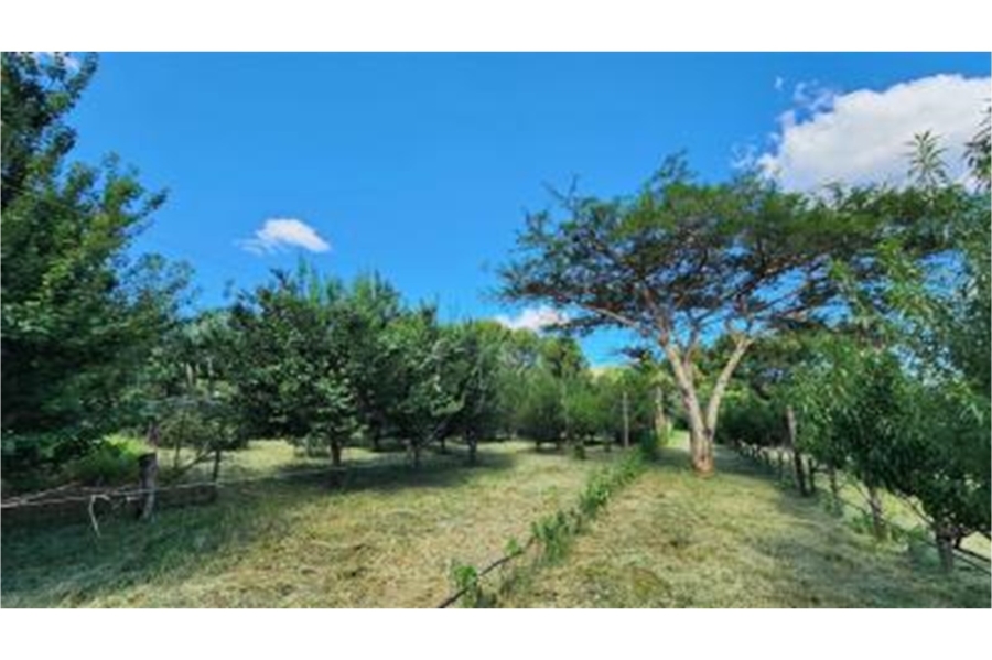 0 Bedroom Property for Sale in Modimolle Rural Limpopo