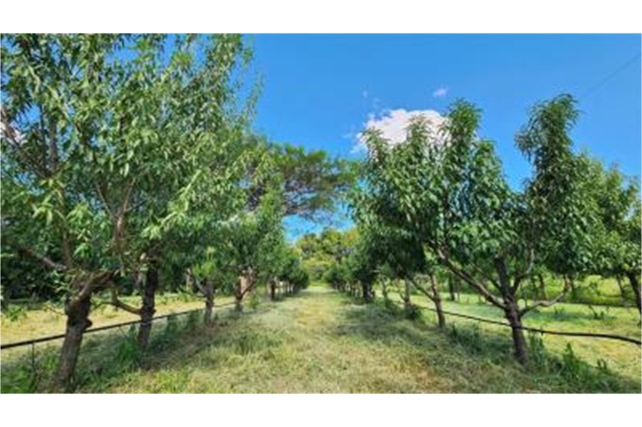 0 Bedroom Property for Sale in Modimolle Rural Limpopo