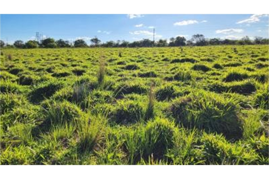 0 Bedroom Property for Sale in Modimolle Rural Limpopo
