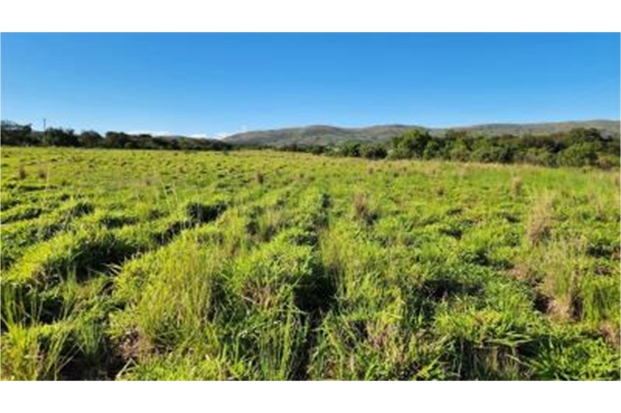 0 Bedroom Property for Sale in Modimolle Rural Limpopo