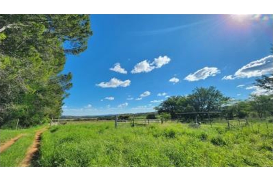0 Bedroom Property for Sale in Modimolle Rural Limpopo