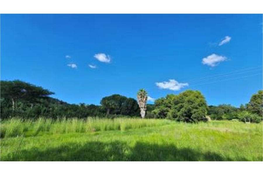 0 Bedroom Property for Sale in Modimolle Rural Limpopo