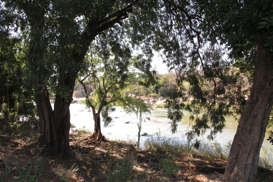 4 Bedroom Property for Sale in Lissataba Private Nature Reserve Limpopo