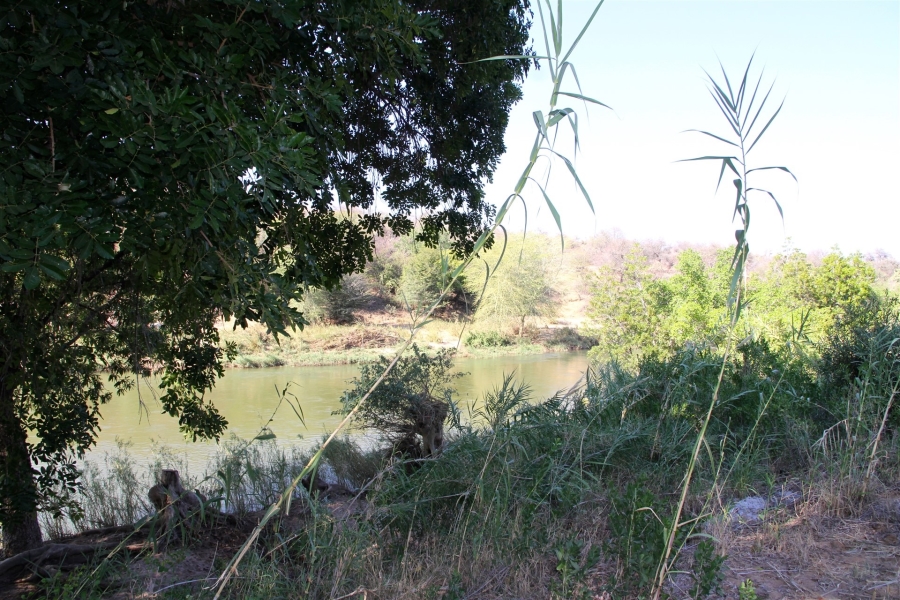 4 Bedroom Property for Sale in Lissataba Private Nature Reserve Limpopo