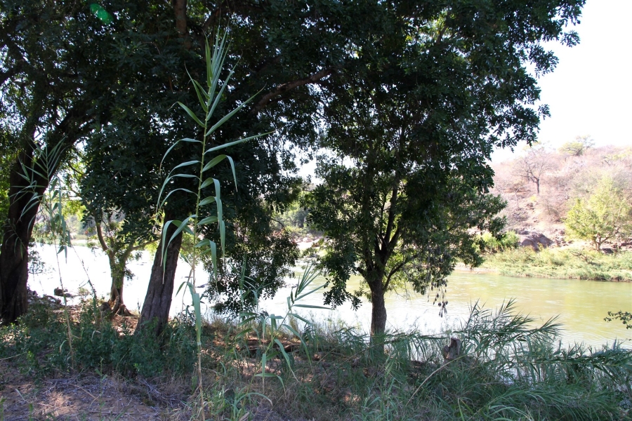 4 Bedroom Property for Sale in Lissataba Private Nature Reserve Limpopo