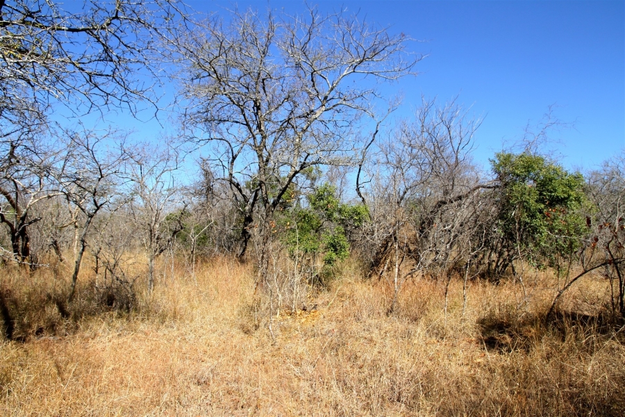 0 Bedroom Property for Sale in Moditlo Wildlife Estate Limpopo