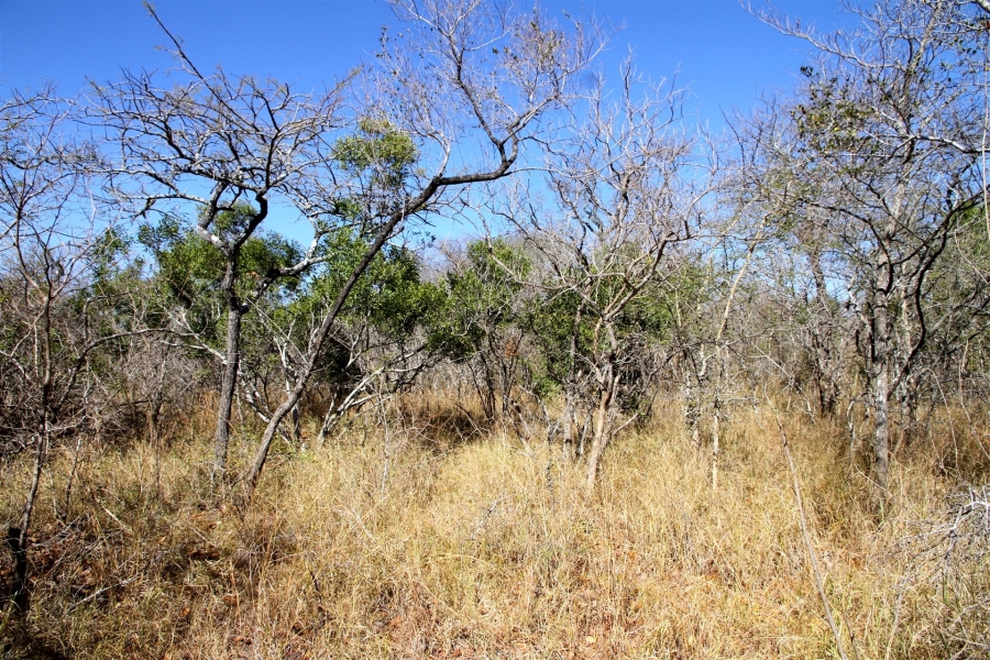 0 Bedroom Property for Sale in Moditlo Wildlife Estate Limpopo