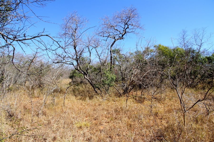 0 Bedroom Property for Sale in Moditlo Wildlife Estate Limpopo
