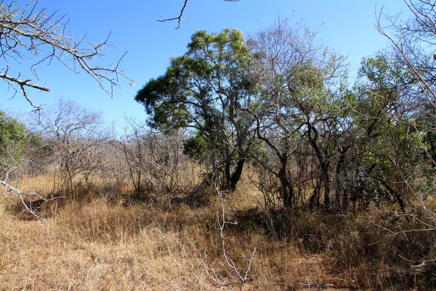 0 Bedroom Property for Sale in Moditlo Wildlife Estate Limpopo