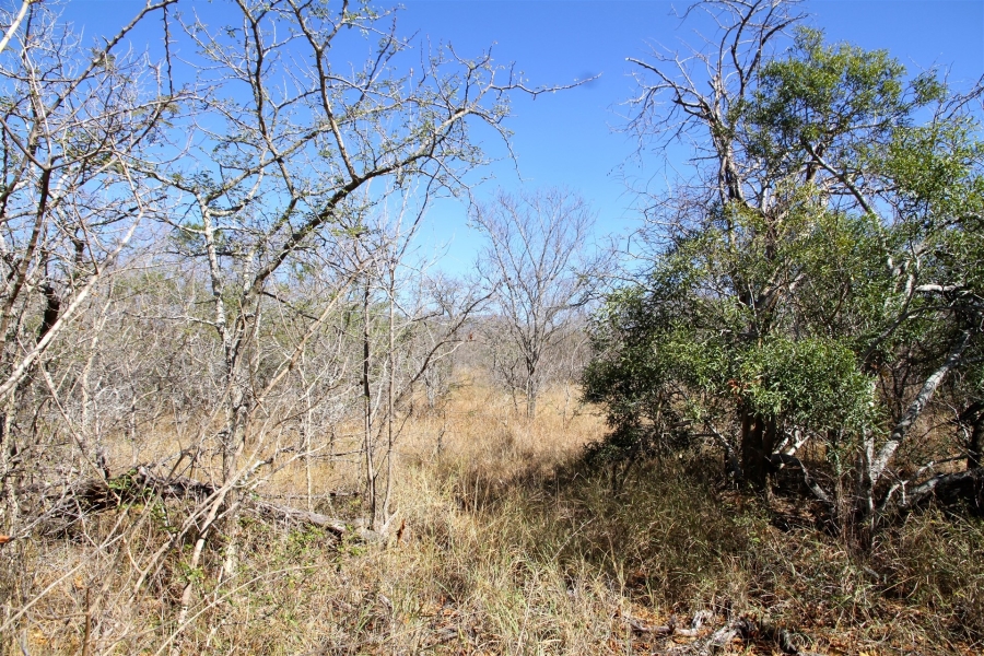 0 Bedroom Property for Sale in Moditlo Wildlife Estate Limpopo