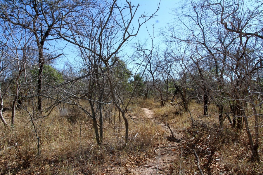 0 Bedroom Property for Sale in Moditlo Wildlife Estate Limpopo