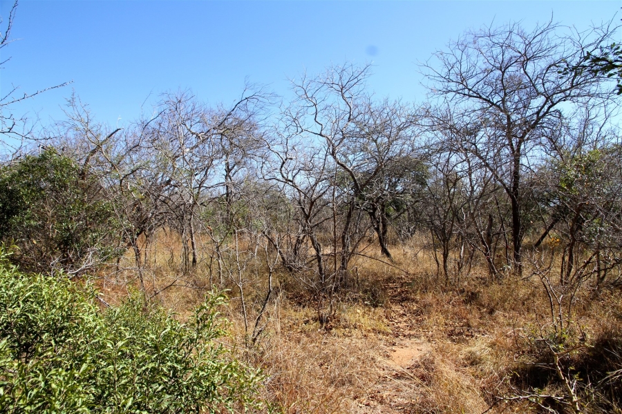 0 Bedroom Property for Sale in Moditlo Wildlife Estate Limpopo