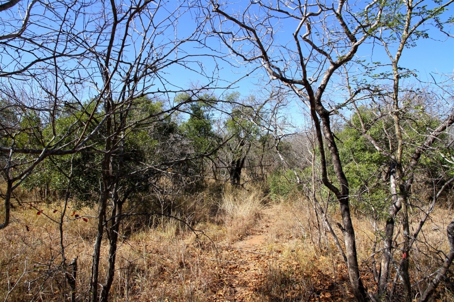 0 Bedroom Property for Sale in Moditlo Wildlife Estate Limpopo
