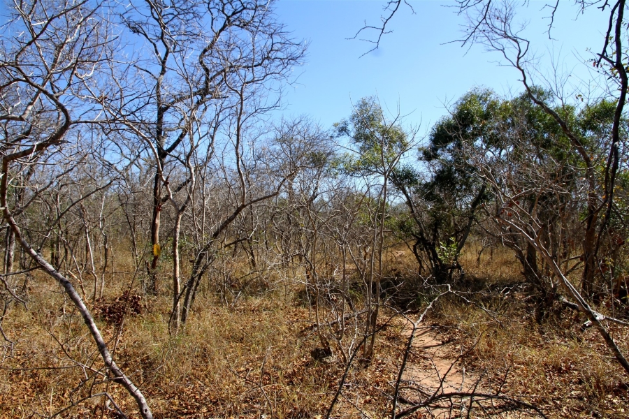 0 Bedroom Property for Sale in Moditlo Wildlife Estate Limpopo