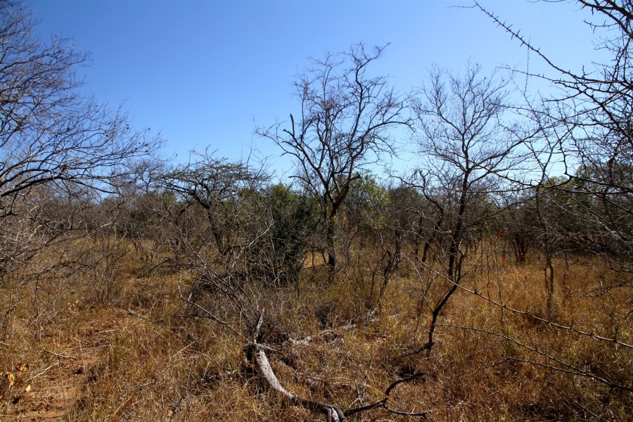 0 Bedroom Property for Sale in Moditlo Wildlife Estate Limpopo