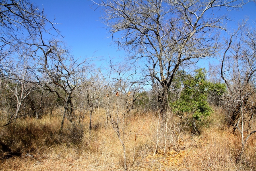 0 Bedroom Property for Sale in Moditlo Wildlife Estate Limpopo