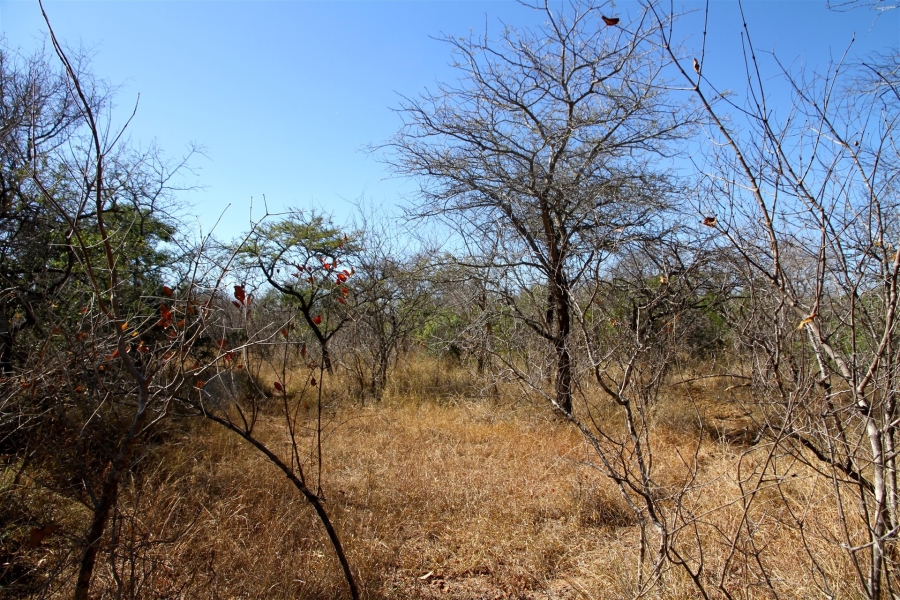 0 Bedroom Property for Sale in Moditlo Wildlife Estate Limpopo