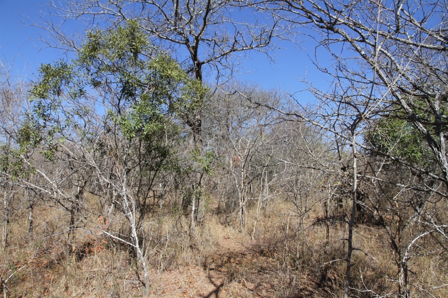0 Bedroom Property for Sale in Moditlo Wildlife Estate Limpopo