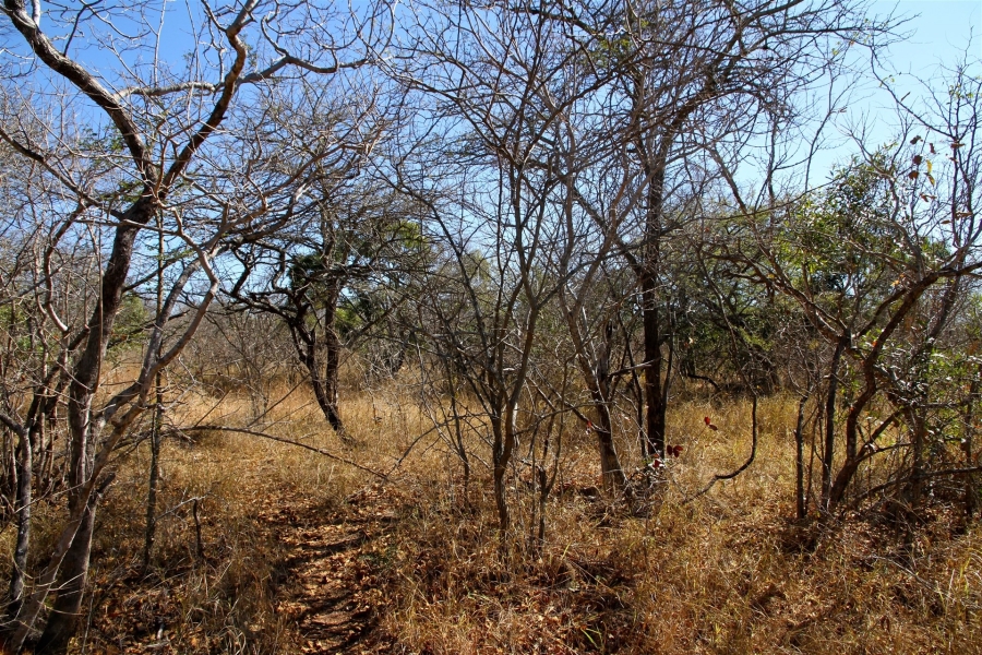 0 Bedroom Property for Sale in Moditlo Wildlife Estate Limpopo