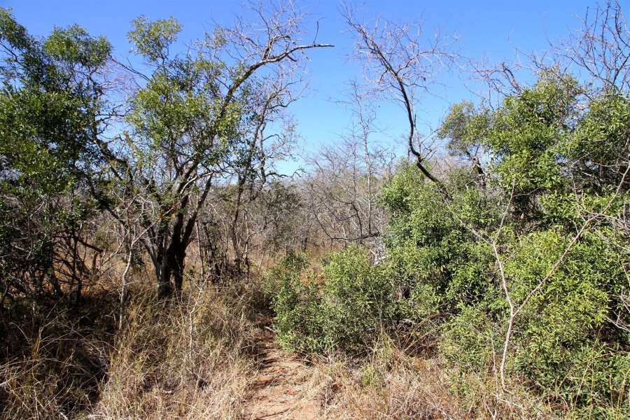 0 Bedroom Property for Sale in Moditlo Wildlife Estate Limpopo