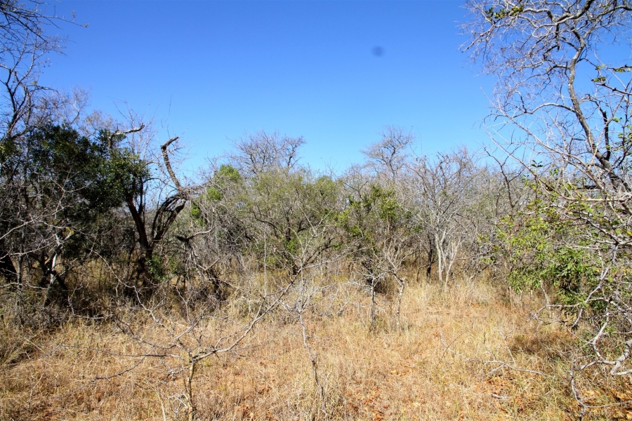 0 Bedroom Property for Sale in Moditlo Wildlife Estate Limpopo