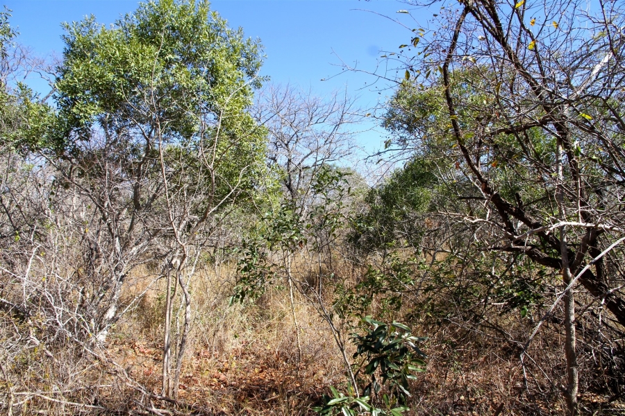 0 Bedroom Property for Sale in Moditlo Wildlife Estate Limpopo