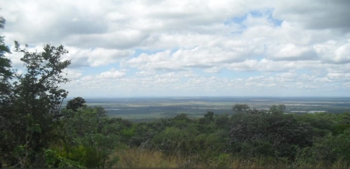 0 Bedroom Property for Sale in Naboomfontein AH Limpopo