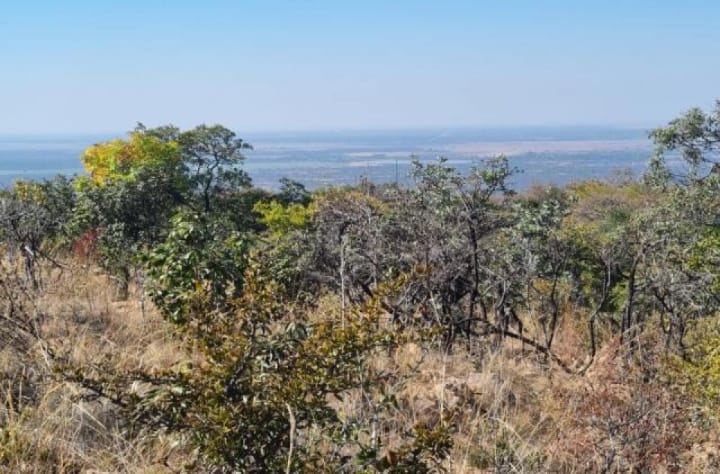 0 Bedroom Property for Sale in Naboomfontein AH Limpopo