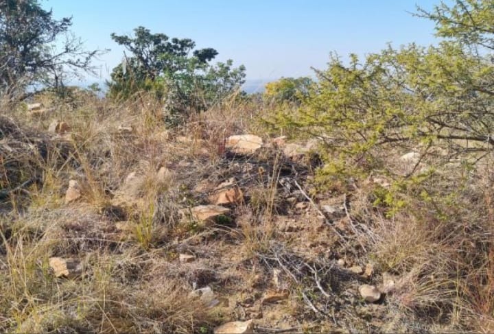 0 Bedroom Property for Sale in Naboomfontein AH Limpopo