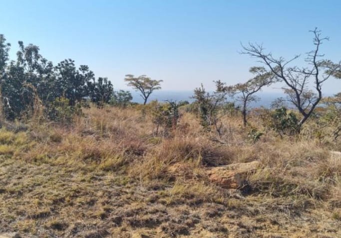 0 Bedroom Property for Sale in Naboomfontein AH Limpopo