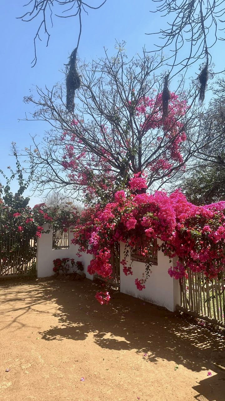 Commercial Property for Sale in Bakone Limpopo